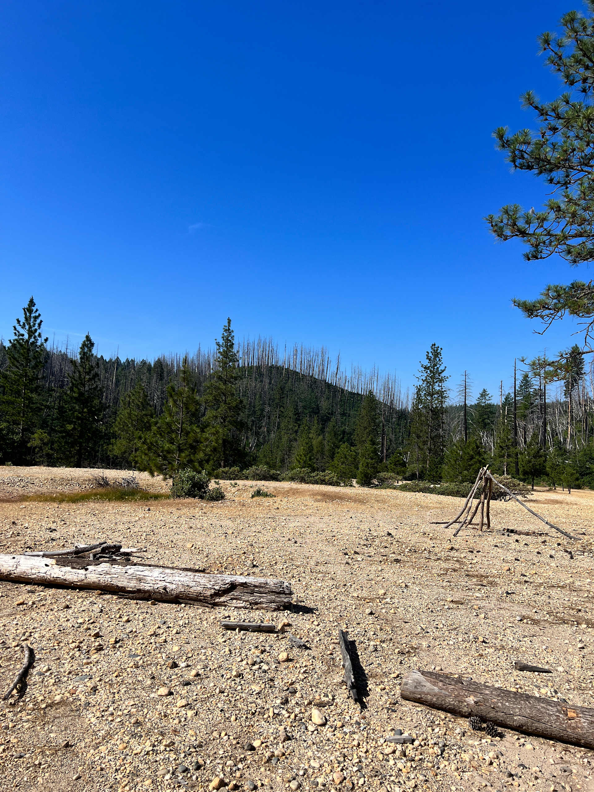 Room to camp